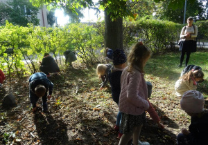 Dzieci zbierają kasztany z ziemi.